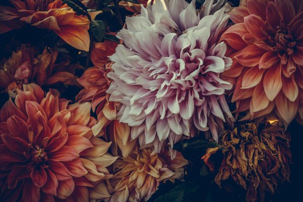 ¿Por qué es crucial el descanso adecuado en la musculación?